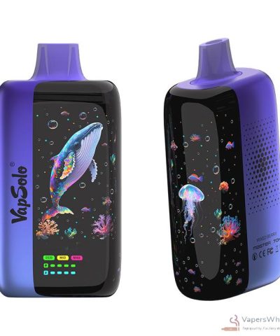 Vapsolo Master 70K Vape jetable - 70 000 bouffées, bobine double, rechargeable