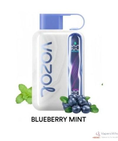 Vozol STAR 40000 Disposable Vape with 40,000 Puffs and Dual Modesの別ビュー